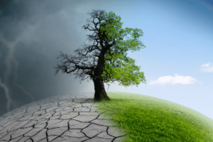 Climate