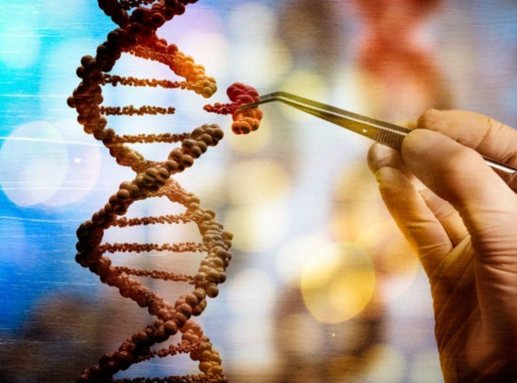 The DNA